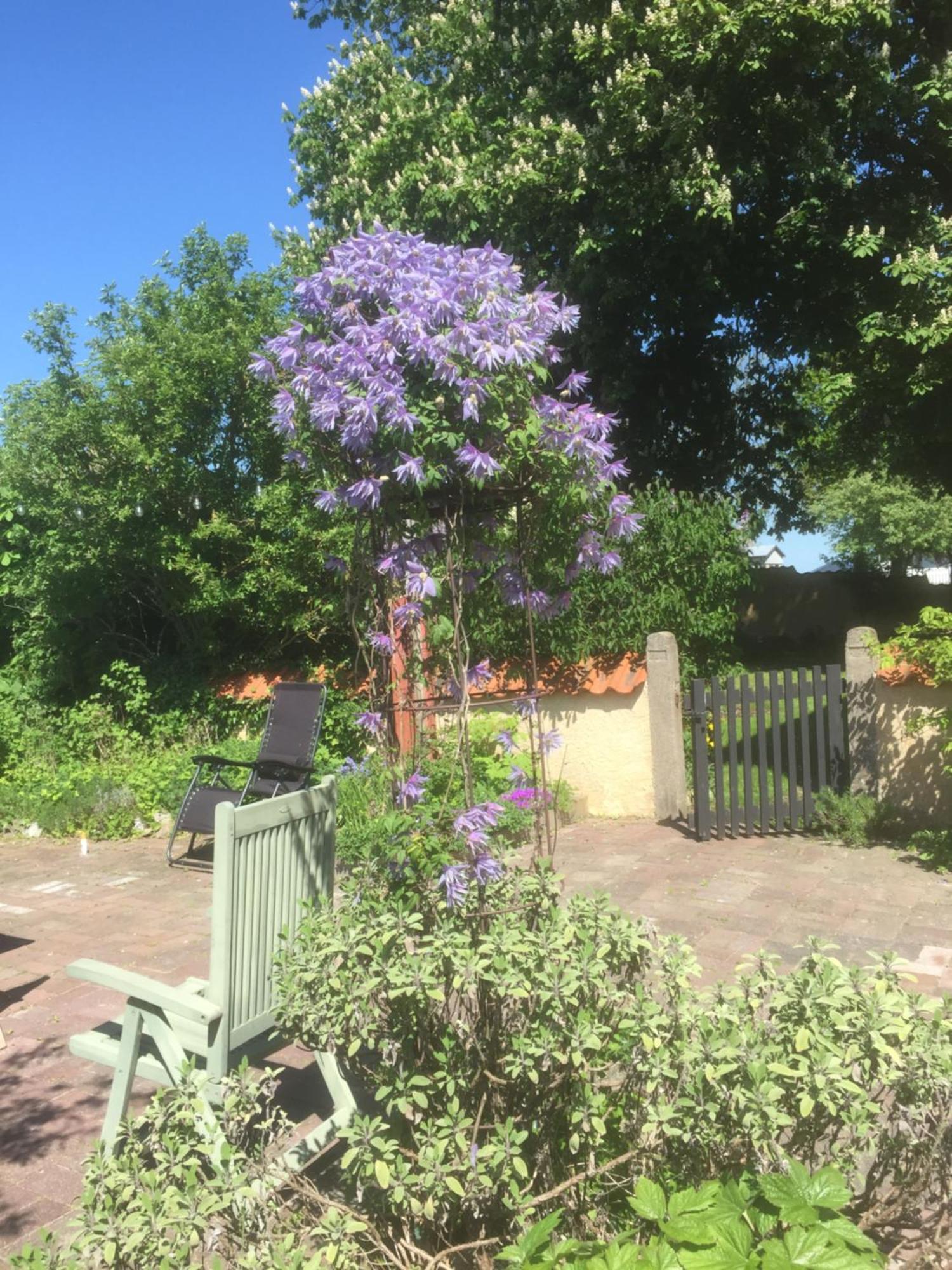 Koepmansgarden Bed & Breakfast ヴェッリンゲ自治体 部屋 写真