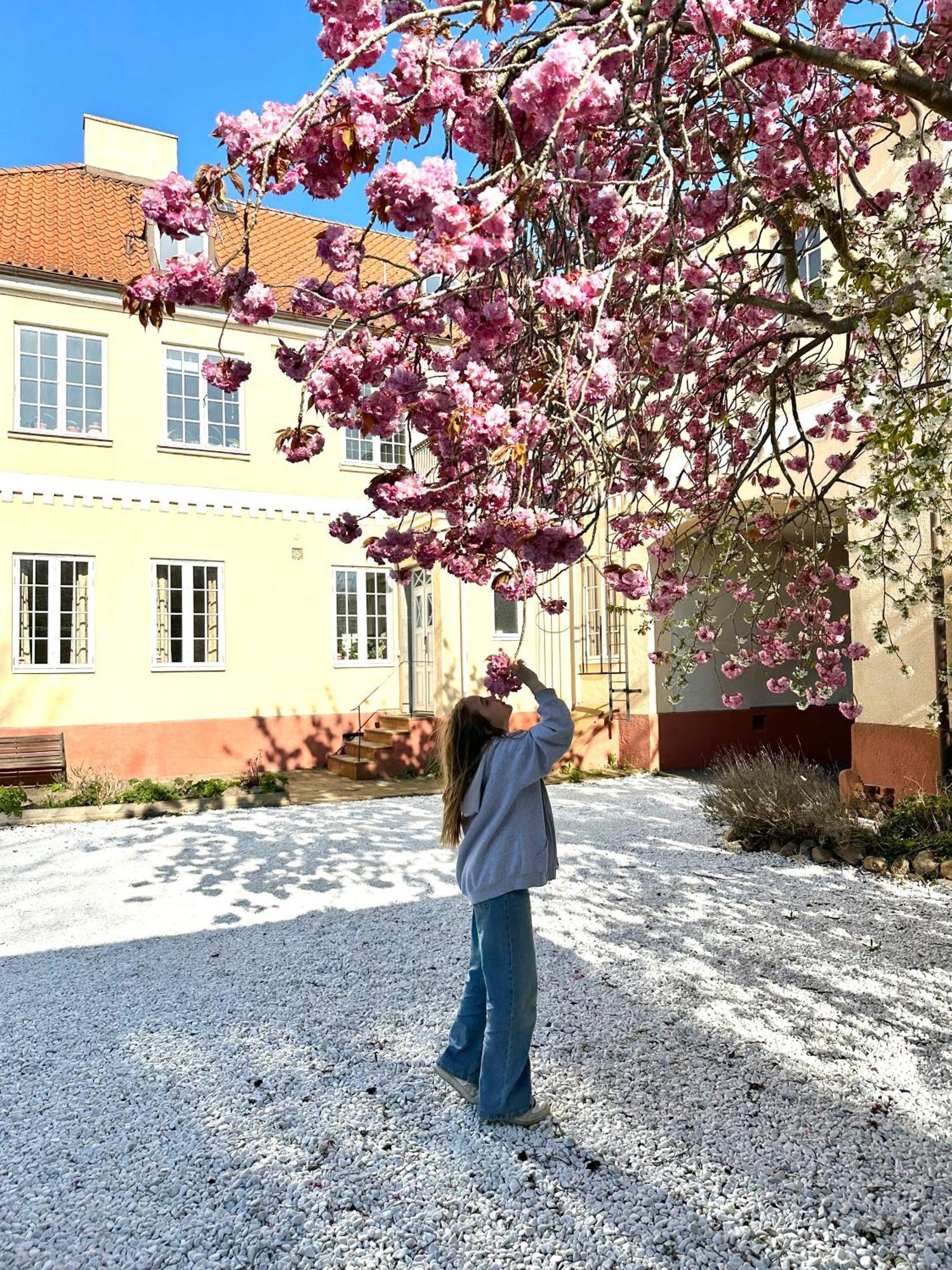 Koepmansgarden Bed & Breakfast ヴェッリンゲ自治体 部屋 写真